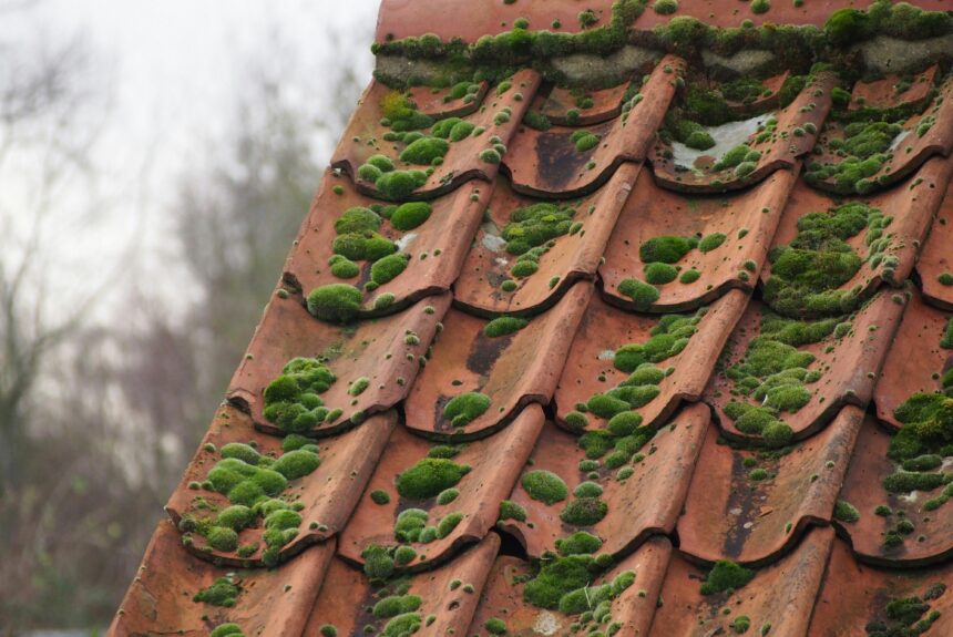 How Often Should You Clean Your Roof?