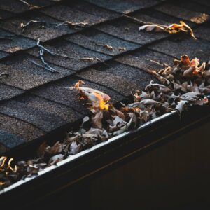 Why Regular Gutter Cleaning Is Essential for Your Home
