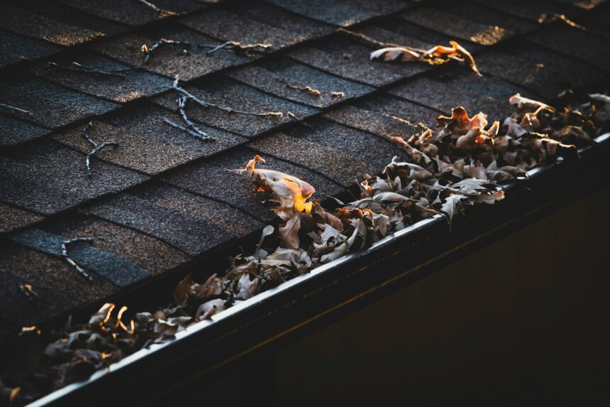 Why Regular Gutter Cleaning Is Essential for Your Home