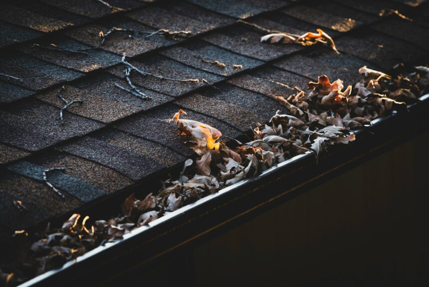 Why Regular Gutter Cleaning Is Essential for Your Home