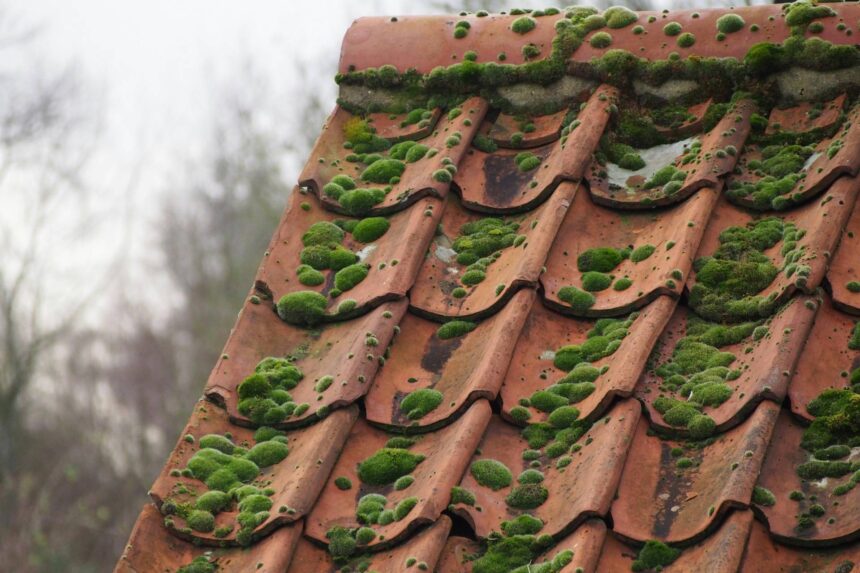 How Often Should You Clean Your Roof?